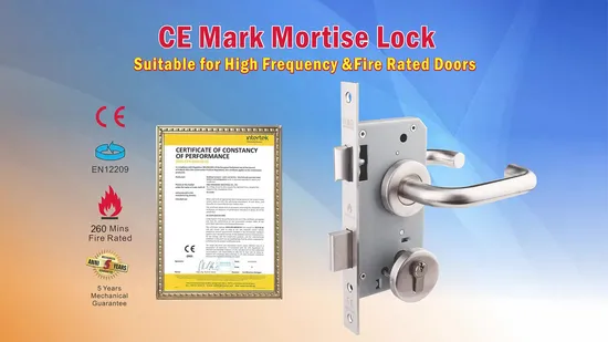 CE En12209 Fireproof Mortise Latch Lock Home Door Lock with Master Keys 
